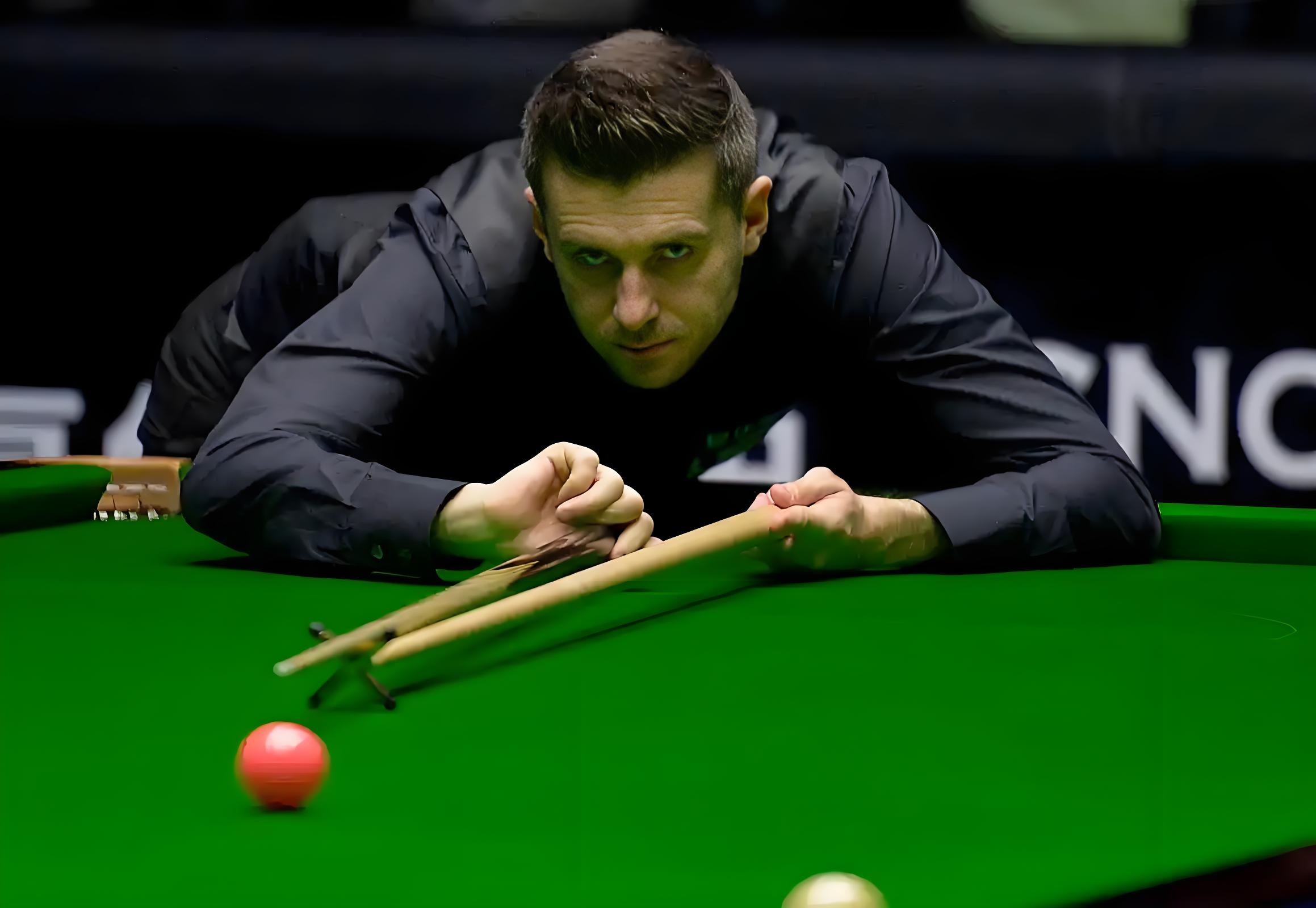 也将影响到 也将影响到